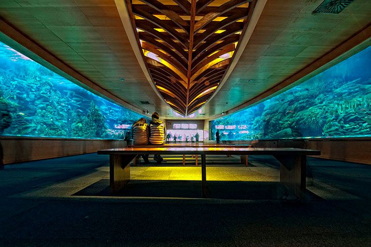 Oceanografic de Valencia, el acuario más grande de Europa