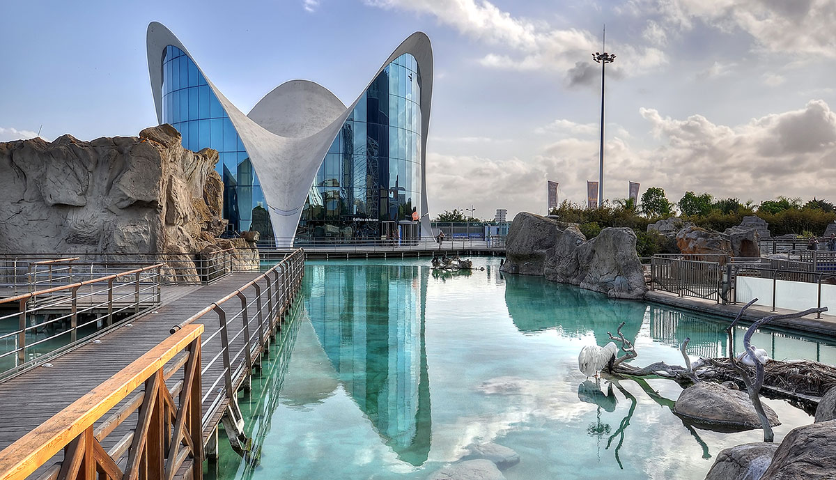 L’Oceanografico di Valenzia, il più grande acquario d'Europa